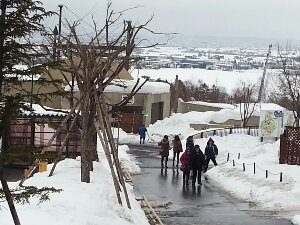 20130313_121411.jpg image