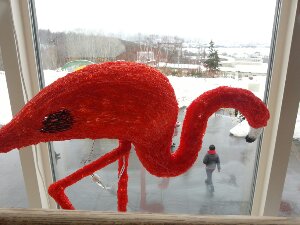 20130313_121939.jpg image