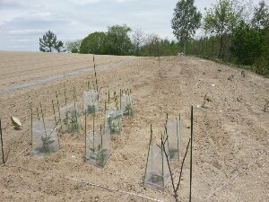 20130602_120624.jpg image