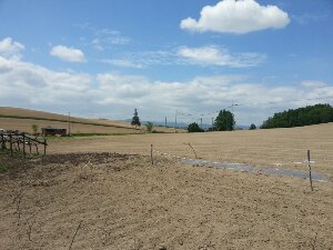 20130602_120642.jpg image