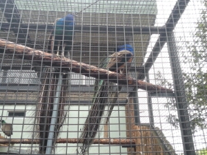 20150514_114527.jpg image