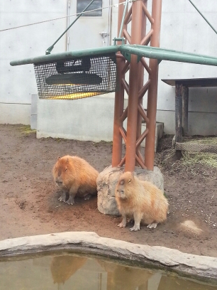 20150514_115238.jpg image