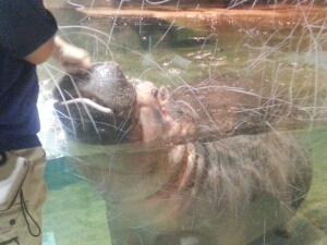 20150810_184553.jpg image