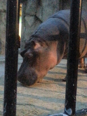 20150810_185615.jpg image