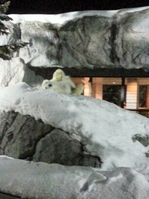 20160211_190549.jpg image