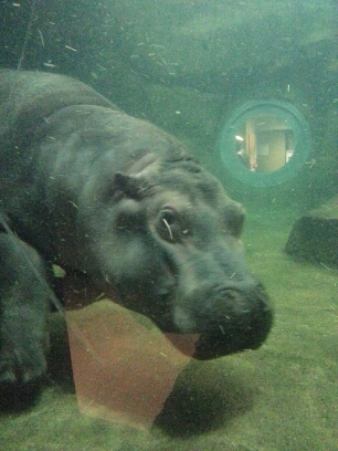 20160211_191809.jpg image